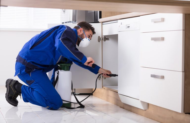 Professional Pest Control Services in Lansing: Safeguarding Your Home from Unwanted Intruders