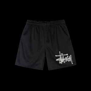 stussy shorts