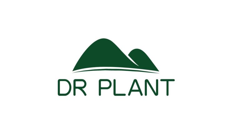 Dr. Plant