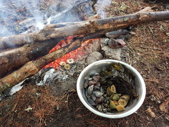 coastal foraging