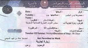 Saudi Arabia Visa Guide