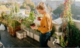 Why Everyone’s Obsessed with Buying Plants Online (And You Should Be Too!)