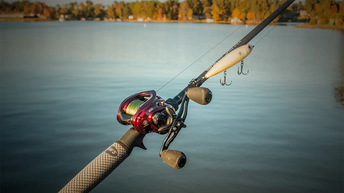 fishing rods
