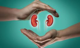 Kidney Disease Prevention: The Role of Diet, Hydration, and Regular Checkups