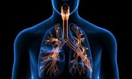 When and Why You Should Take an Antibiotic for Respiratory Issues