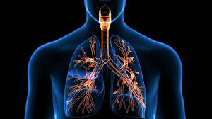 Antibiotic for Respiratory Issues