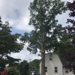 Reliable Snow Removal Services for a Safer Middletown Winter