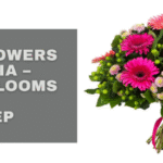 Shop Flowers in Nicosia – Fresh Blooms at Your Doorstep